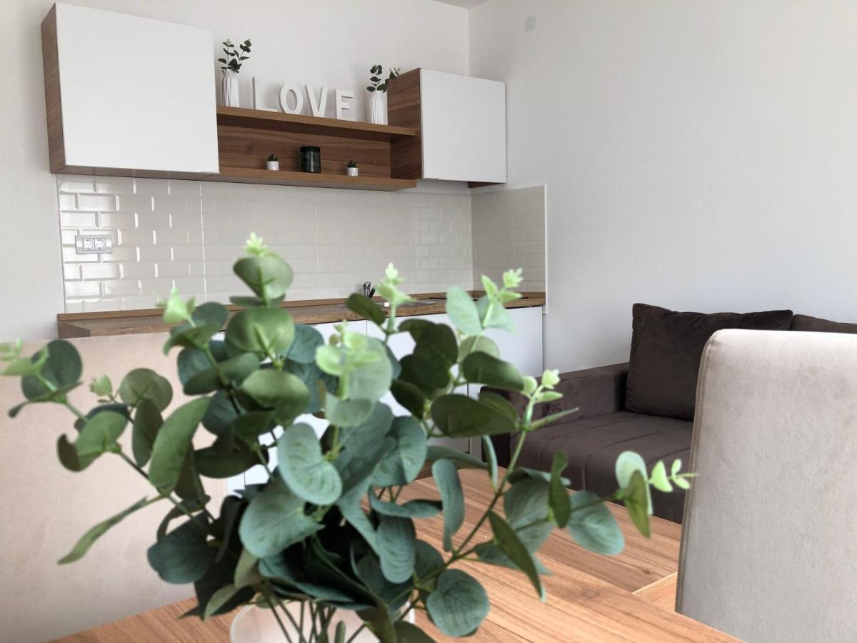 Apartmani Tesla Sokobanja Exterior foto